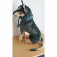 Tolles Hunde-Halsband aus dem Hause Knotenwerke Paracord Bild 1