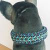 Tolles Hunde-Halsband aus dem Hause Knotenwerke Paracord Bild 2