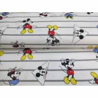 Jersey, Baumwoll Jersey , Minnie Mouse, Micky Maus,Streifen, weiß, Digitaldruck Oeko-Tex Standard 100 (1m/15,-€)