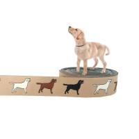 Webband Hund "Labrador Retriever" Borte, beige, 25mm breit, Hunde, 1 Meter Bild 1