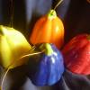 Glockenblume mit Klöppel in 4 Farben Rot,Blau,Gelb, Orange Bild 5