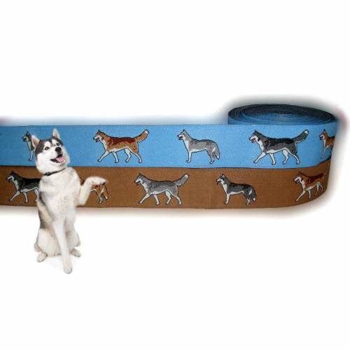 Webband Hund "Siberian Husky" Borte, 23mm, hellblau, Hunde, 1 Meter