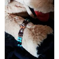 Hundehalsband für Kleinsthunde wie Pinscher etc. (MHH1) Country-Style, ab 23 cm Halsumfang, auch Katzentauglich Bild 2