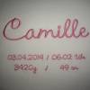 Namenskissen Camille mit Geburtsdaten Bild 2