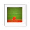 Rote Mohnblume vor einem Mohnfeld im Aquarell-Charakter, quadratisches Print erhältlich in den Größen 13 x 13 cm, 20 x 20 cm, 30 x 30 cm Bild 6