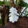 Blumenkind Schneekristall-Anhänger, Jahreszeitentisch Winter, Baumschmuck Weihnachten Bild 2