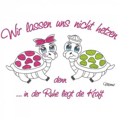 *  Schildkröten - Wir lassen uns nicht hetzen  *  Doodle - 20x30