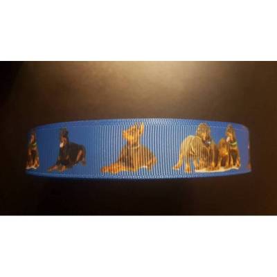 1644 EIGENPRODUKTION Dobermann