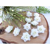 Deko-Rosen, Streudeko, Hochzeit-Tischdeko, Floristik-Blumen Bild 1