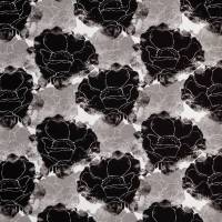 Sommersweat Blumen schwarz weiß grau ,Swafing Harry, Sweat gemustert, mit Muster bedruckt, Stoffe Meterware Bild 1