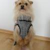 Hunde-Pullover, handgestrickt, Hunde-Mantel mit Bauchlatz, Hundepullover, Hundemantel Bild 2