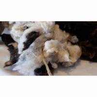 100 Gramm Wolle vom Herdwick, zum Spinnen, Filzen und Basteln Bild 1