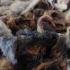 100 Gramm Wolle vom Herdwick, zum Spinnen, Filzen und Basteln Bild 3
