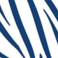 ECO Vlies Bordüre: Zebrastreifen - weiß farbig - 13 cm Höhe Bild 8