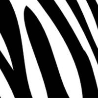 ECO Vlies Bordüre: Zebrastreifen - schwarz farbig - 13 cm Höhe Bild 7