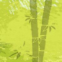 ECO Wandbordüre XXL: Bambus Wald - mit Strukturoptik - 23 cm Höhe Bild 2