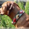 Halsband GEOMETRIE mit Zugstopp für deinen Hund, Hundehalsband Martingale in verschiedene Farben Bild 2