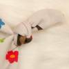 Baby Jungen Mädchen Unisex Set Pumphose-Mütze-Tuch "Süßer Dackel" Gr. 50-56 Geschenk Geburt Sofortkauf Bild 4