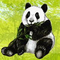 ECO Wandbordüre XXL: Pandabären - nach Aquarellart - 23 cm Höhe Bild 5