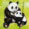 ECO Wandbordüre XXL: Pandabären - nach Aquarellart - 23 cm Höhe Bild 6
