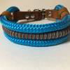 Leine Halsband Set ozeanblau, für kleine Hunde, verstellbar Bild 5
