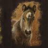 ECO Vlies Bordüre: Kleine Gemälde - Pony Fohlen - 16 cm Höhe Bild 5