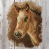 ECO Vlies Bordüre: Kleine Gemälde - Pony Fohlen - 16 cm Höhe Bild 6