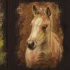 ECO Vlies Bordüre: Kleine Gemälde - Pony Fohlen - 16 cm Höhe Bild 7