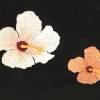 Stickdatei Hibiskus Blüte Blume 4tlg. in 2 verschiedene Varianten Rahmen 10x10 Bild 3