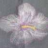 Stickdatei Hibiskus Blüte Blume 4tlg. in 2 verschiedene Varianten Rahmen 10x10 Bild 5