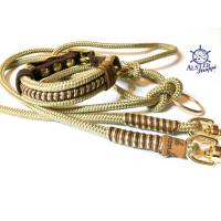 Leine Halsband Set gold beige braun, für kleine Hunde, verstellbar Bild 1