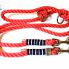 Leine Halsband Set blau rot weiß, für mittelgroße Hunde, verstellbar Bild 5