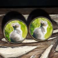 kleine Katze Ohrringe Ring Cabochonschmuck verschiedene Fassungen Bild 1