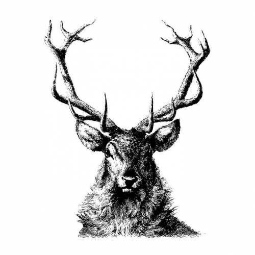 Bügelbild - Weihnachten - Hirsch - Vintage - Shabby - Transfer - 3202