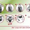 Loop-Schal Hals-Tuch Damen Ginko Blätter grün mit Jersey Bild 3