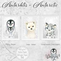 ANTARKTIS  ~ Kinderzimmer Baby Bilder Poster Set Tiere Pinguine, Eisbär, Schnee -Leopard Kunstdruck Wildnis |Set 44/Arctis Bild 1