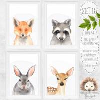 Waldtiere Tiere ~ Babyzimmer Kinderzimmer Bilder Set Waldtiere Kunstdruck Digitaldruck Bild Natur Urban Jungle A4 | SET 15 Bild 1