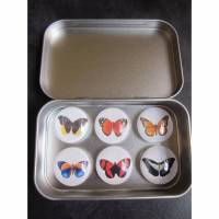 Schmetterlinge Cabochon Magnete 6er Set "Papillon" Geschenkidee Tierfreunde Geburtstag Bild 1