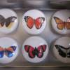Schmetterlinge Cabochon Magnete 6er Set "Papillon" Geschenkidee Tierfreunde Geburtstag Bild 2