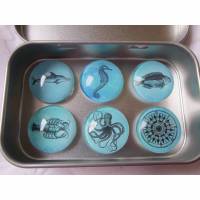 Magnete Meer Meerestiere Seepferdchen Blau Vintage Stil Küchenmagnete Kühlschrankmagnete 6er Set "La mer" Geschenkidee maritim Präsent Bild 1