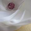 Braut Kopfschmuck weiß Stoffblume Haarklammer rosa Perle "Petite Rose" Hochzeit Brautschmuck Haarblume romantisch elegant festlich Taufe Bild 2