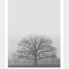 LANDSKAP NO. 15 | Landschaft Poster | Schwarz weiß Poster |  Wandbild Deko | Kunstdruck Geschenk | skandinavisches Design | minimalistisch Bild 2