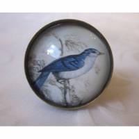 Cabochon Ring Vogel Motiv "Oiseau" verschnörkelt Vintage-Stil Geschenkidee Bild 1