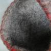 Filzkorb aus 100 % Wolle handgefilzt Bild 7