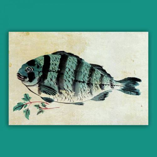 Leinwandbild Fisch, Japanische Kunst -   Colorwash um 1800 -  Wandbild - Vintage, Antik Art  - Druck auf Leinwand Galeriequalität