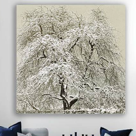 Leinwandbild Alter Baum im Schnee 100x100 cm - Historische Schwarz Weiß Fotografie, Winter - Vintage - Kunst - Wandbild