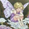 Kissenhülle aus Batist mit der Schleifenblumen-Elfe, the Candytuft Fairy Bild 2