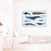 Kinder Lernposter - Tiere der Meere - A3/ A2/ A1 *nikima* in 3 verschiedenen Größen Plakat Wal Delfin Orca Hai Bild 3