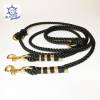 Leine Halsband Set schwarz gold, auch für für kleine Hunde, verstellbar Bild 4