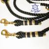 Leine Halsband Set schwarz gold, auch für für kleine Hunde, verstellbar Bild 5